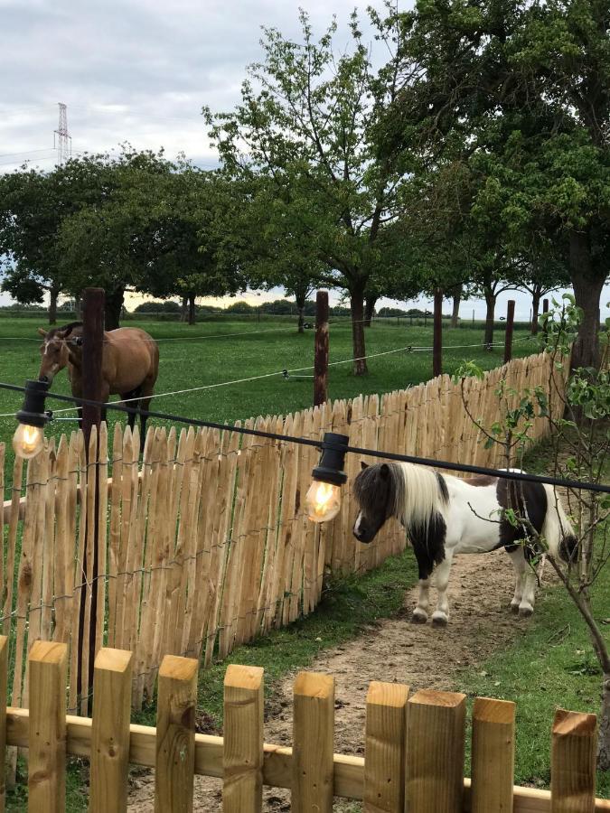 Tussen De Paarden @ De Hoeveschuur Riemst Exteriör bild